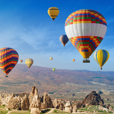 turkey