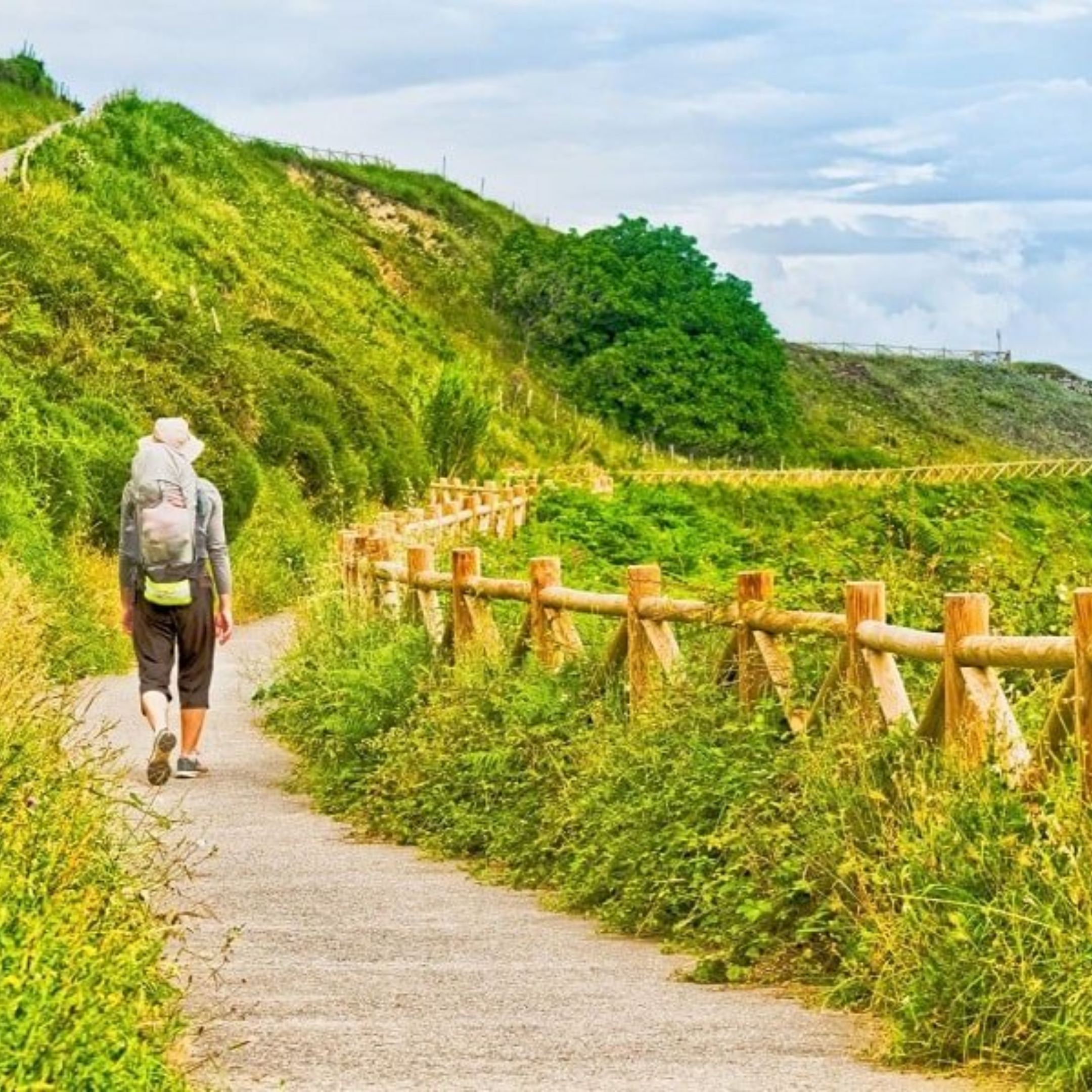 el camino walk - ms marie