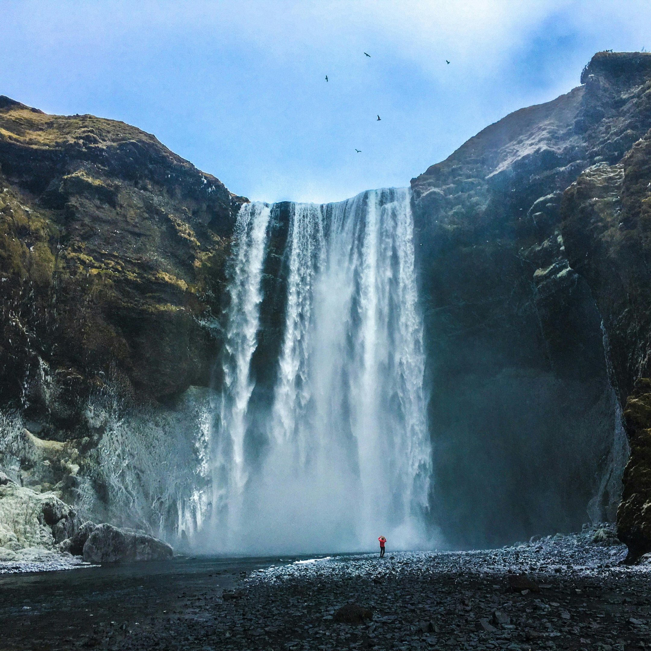 iceland with scandi
